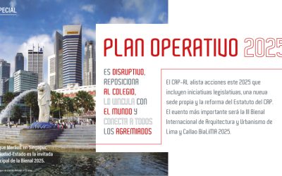 PLAN OPERATIVO 2025