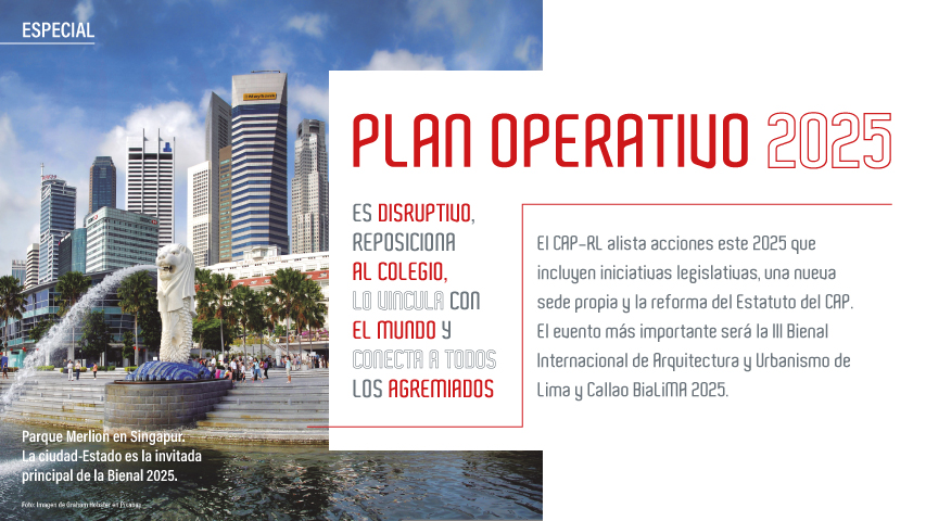PLAN OPERATIVO 2025